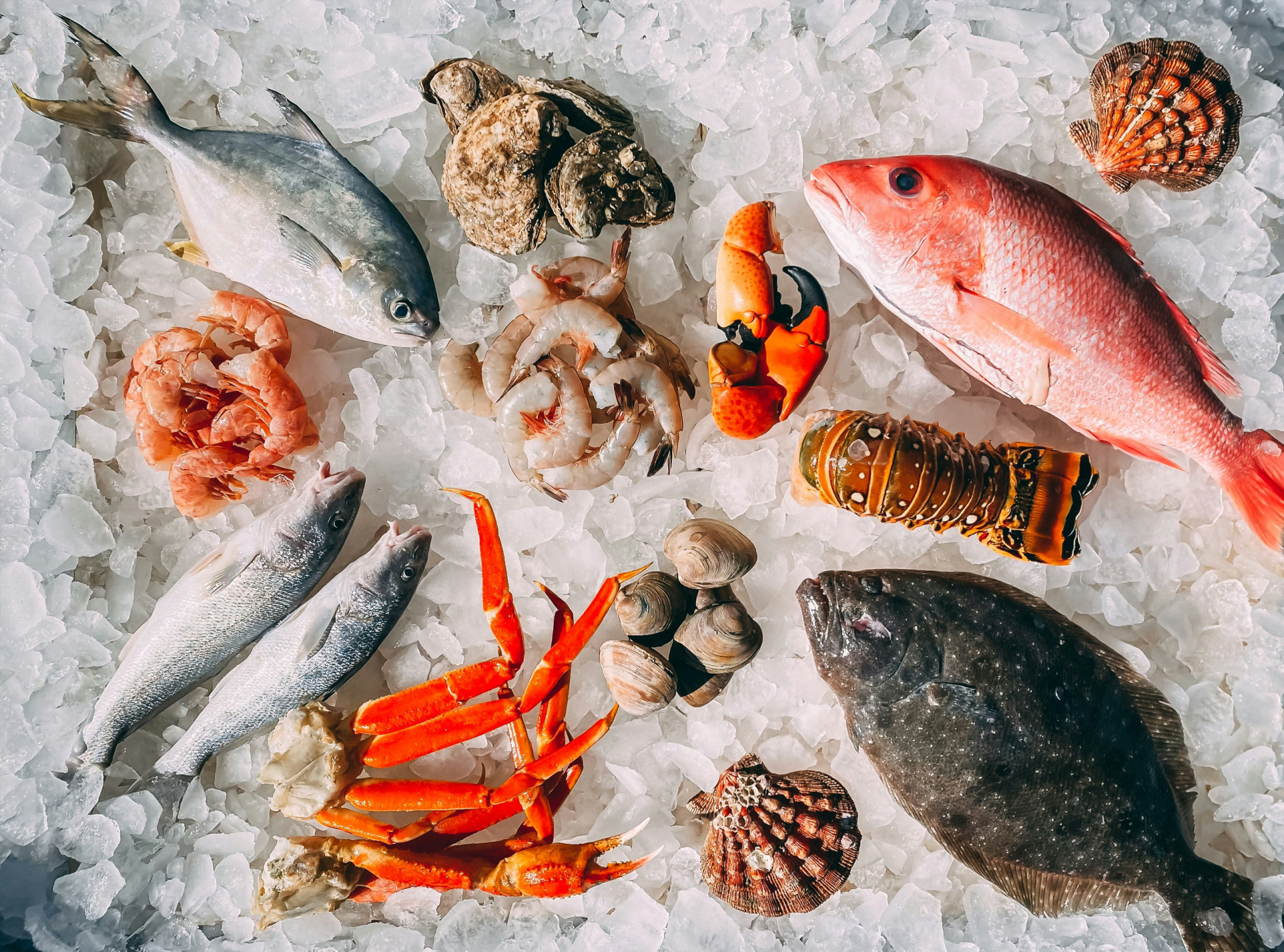 Especialidades de pescado en The New Sansse